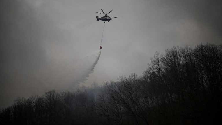 Güney Kore’de orman yangınına müdahale sırasında düşen helikopterin pilotu öldü